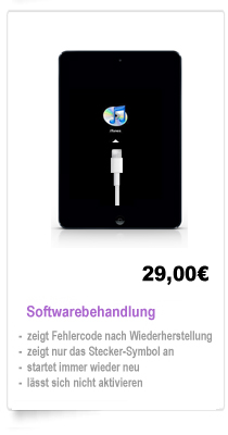iPad Mini Reparatur Berlin, iPad Mini reparieren lassen Berlin
